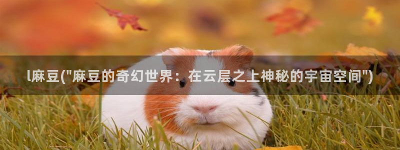 麻豆精品：l麻豆(\