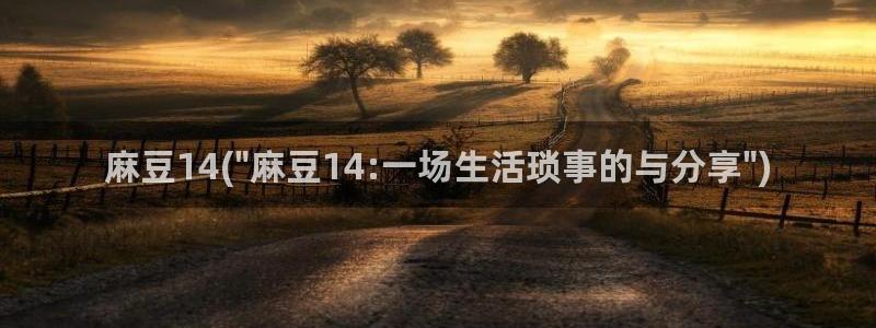 麻豆国产专区：麻豆14(\