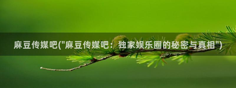 亚洲麻豆专区：麻豆传媒吧(\