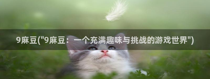 国产麻豆专区：9麻豆(\