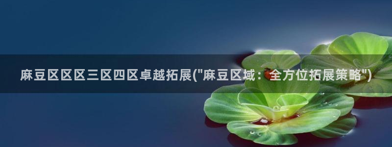 中文麻豆专区：麻豆区区区三区四区卓越拓展(\