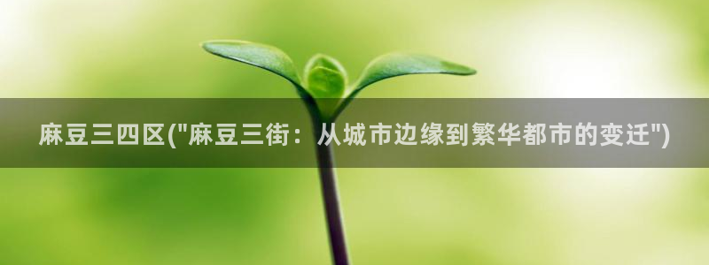 sepapa麻豆专区：麻豆三四区(\