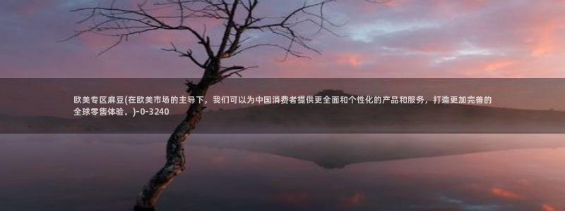 麻豆专区一：欧美专区麻豆(在欧美市场的主导下，我们可以为中国消费者提供更全面和个