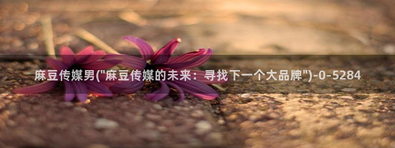 麻豆播放：麻豆传媒男(\