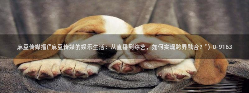 麻豆免费专区：麻豆传媒播(\