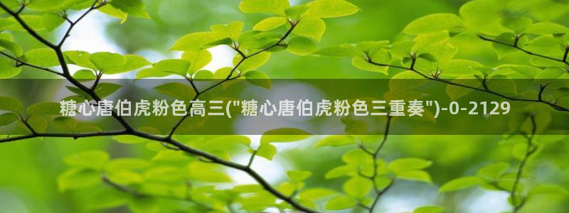 糖心 vlog下载