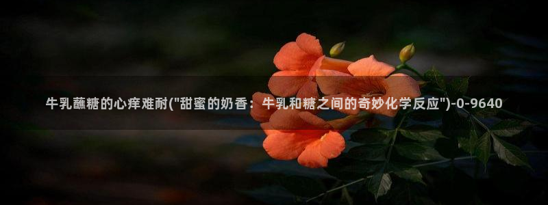 糖心vlog网