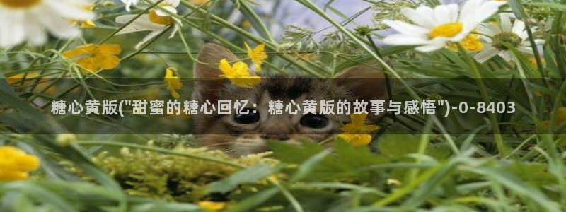 唐伯虎糖心vlog入口