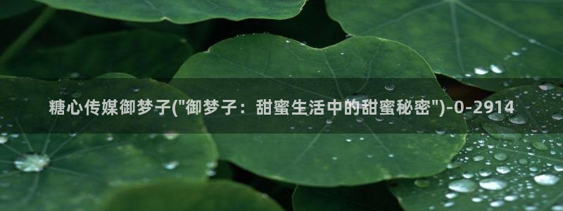 糖心vlog在线观看