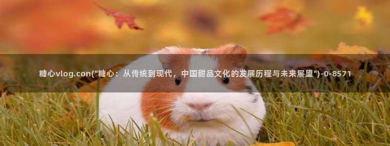 狐不妖糖心vlog