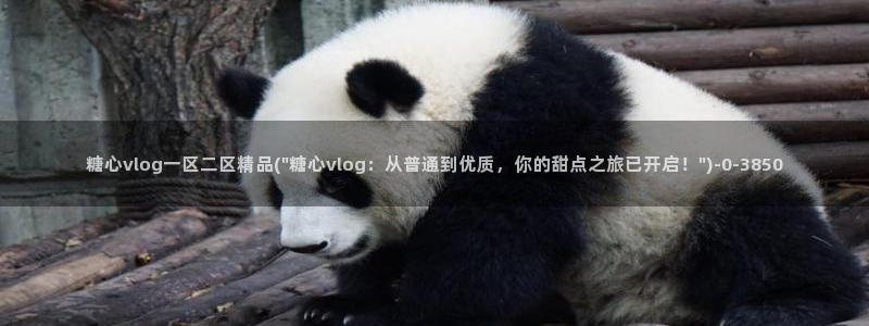 糖心vlog塔塔