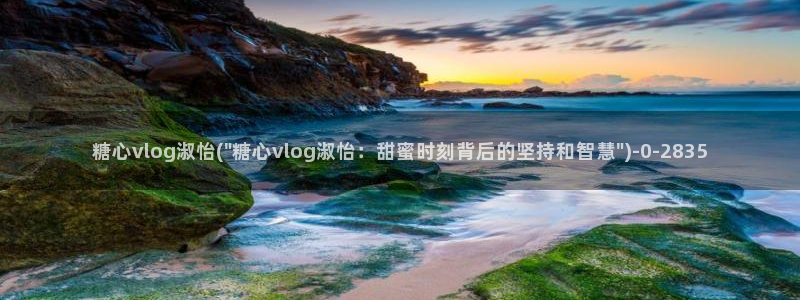 糖心vlog破解版官网
