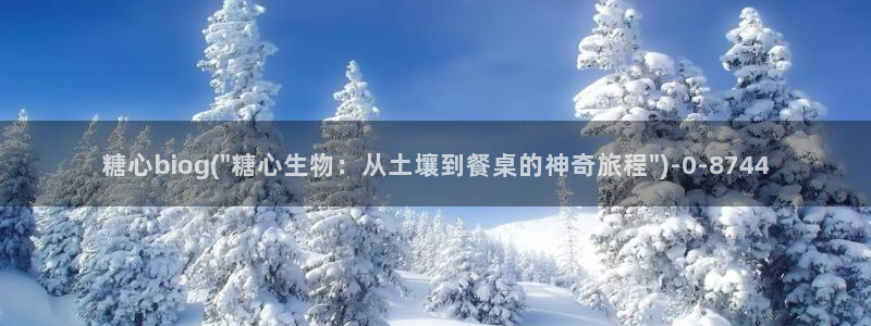 糖心vlog是啥?