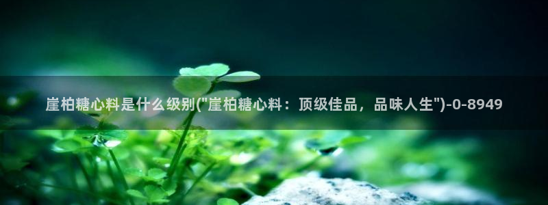 糖心vlog高清免费