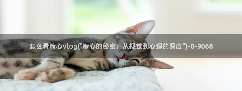 糖心五vlog
