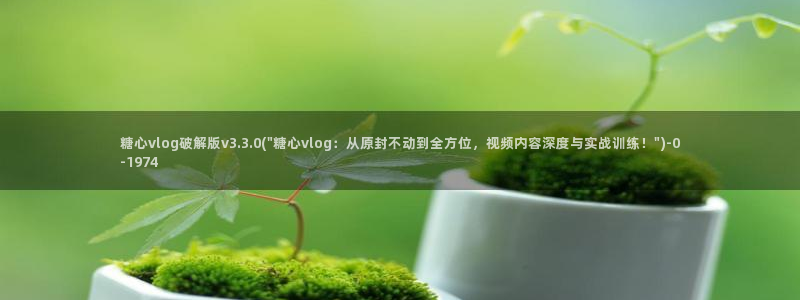 糖心 vlog免费