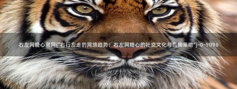糖心vlog淑怡