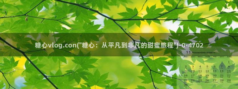 糖心官网vlog