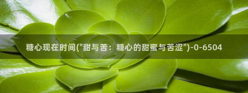tx糖心vlog