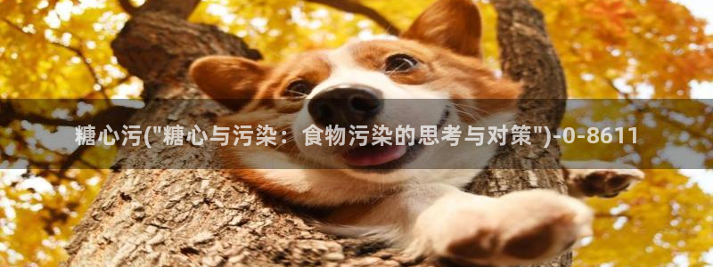 糖心vlog精品一区